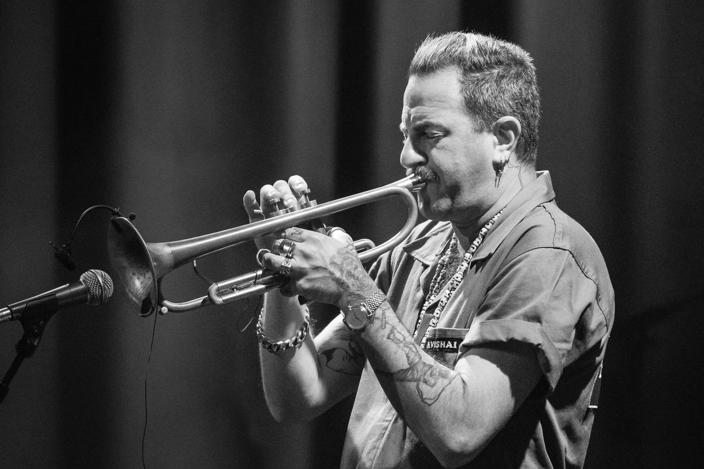 Avishai Cohen (Trumpet)