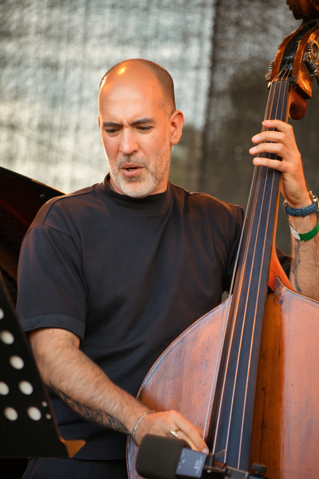 Haggai Cohen Milo