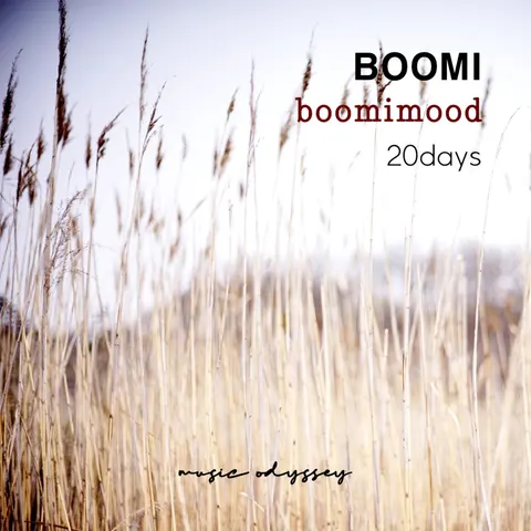 Boomi