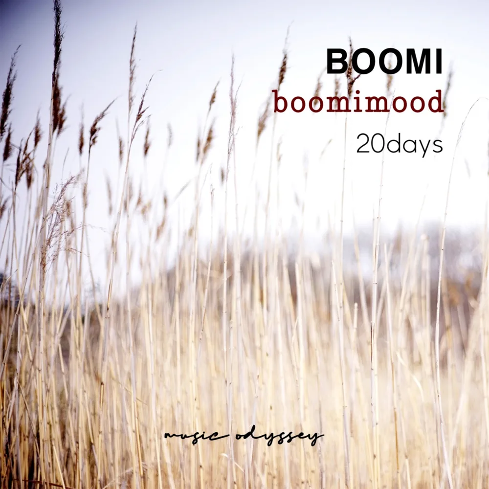 Boomi